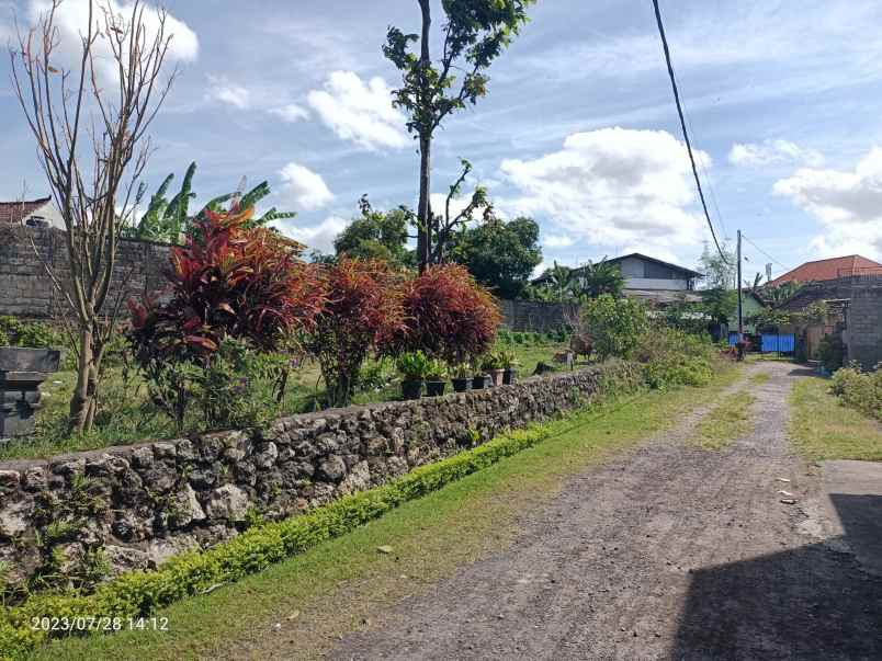 tanah di kwanji denpasar zona kuning dan view sawah