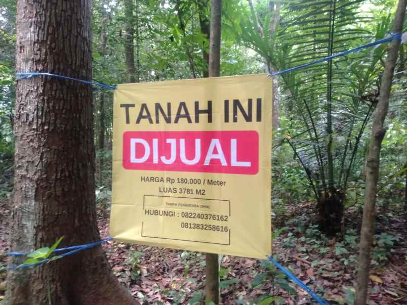 tanah dijual cepat langsung pemilik