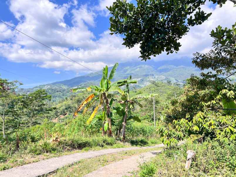 tanah idaman 5933m view langsung gunung lawu