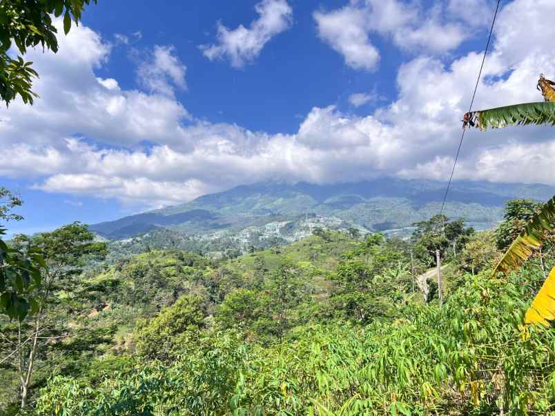 tanah idaman 5933m view langsung gunung lawu