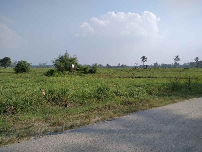 tanah jalan bandarejo rulung