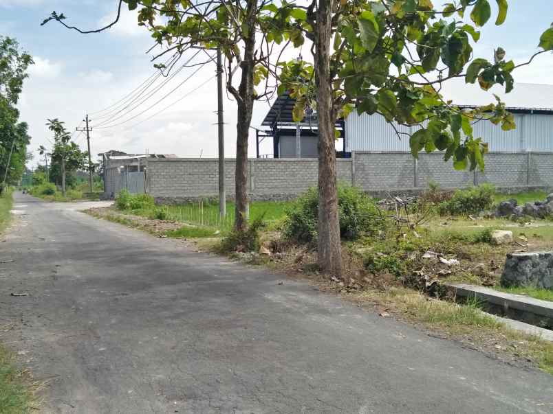 tanah jl pku gamping 50m utara