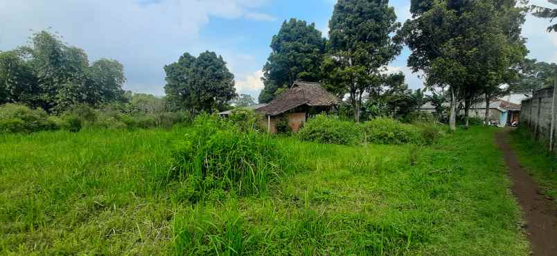 tanah kampung tugu laksana rt