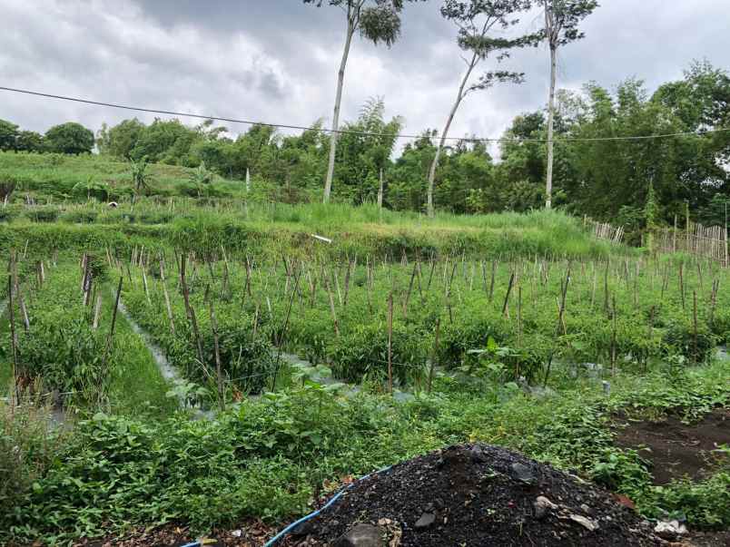 tanah kavling murah lokasi strategis malang kota