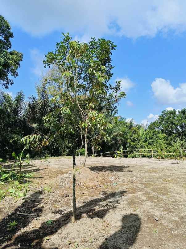 tanah kavling temas lestari