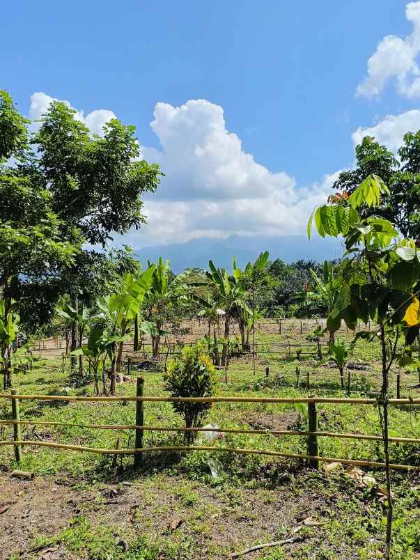 tanah kavling temas lestari