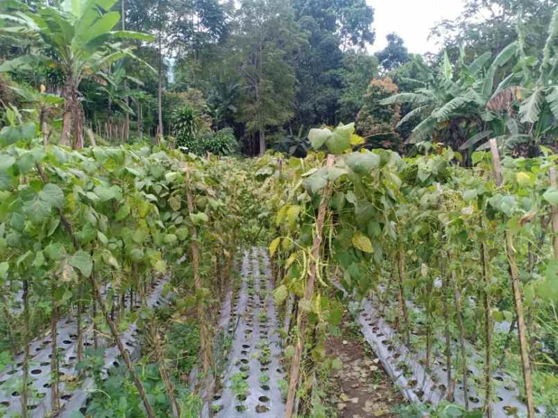 tanah kawasan wisata alam