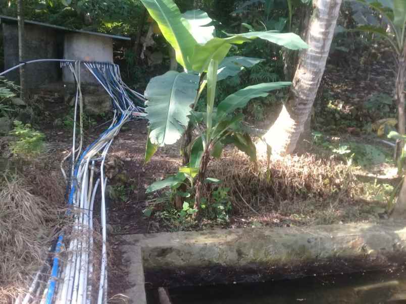 tanah kebun murah dan kolam ikan aktiv