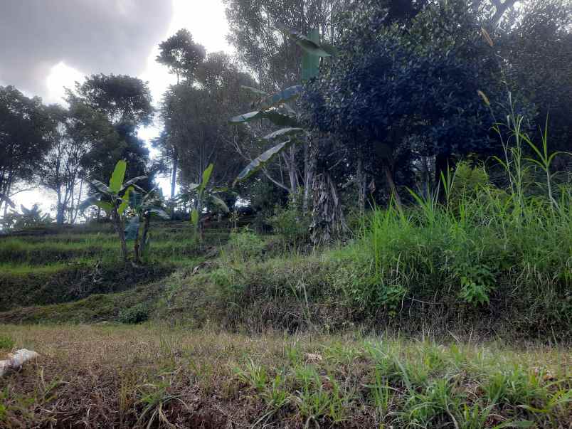 tanah kebun sindanglaya ujung berung bandung timur