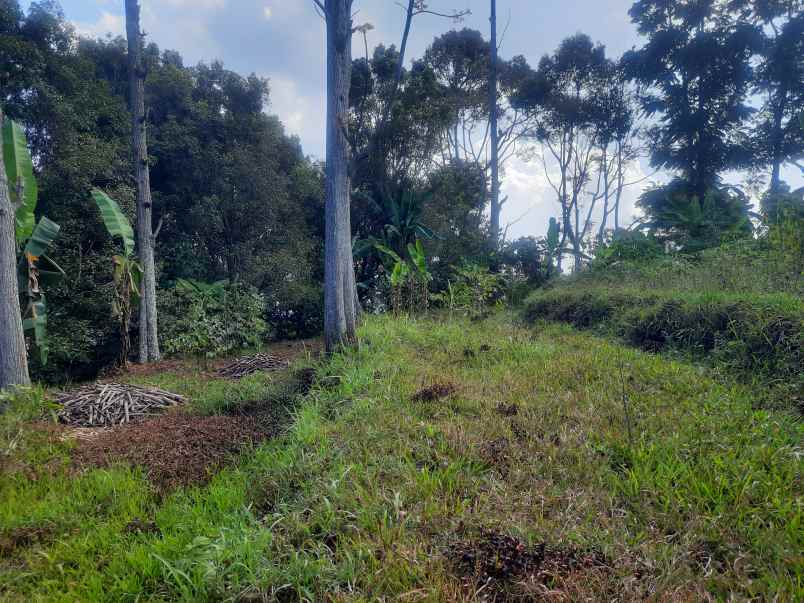 tanah kebun sindanglaya ujung berung bandung timur