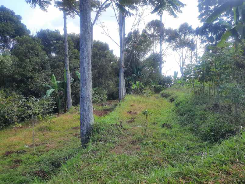 tanah kebun sindanglaya ujung berung bandung timur