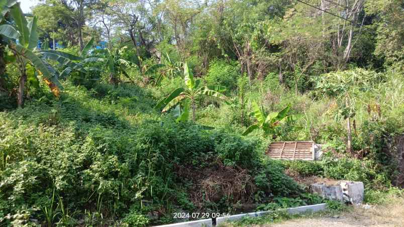 tanah kelud sampangan samping fak kedoteran unnes