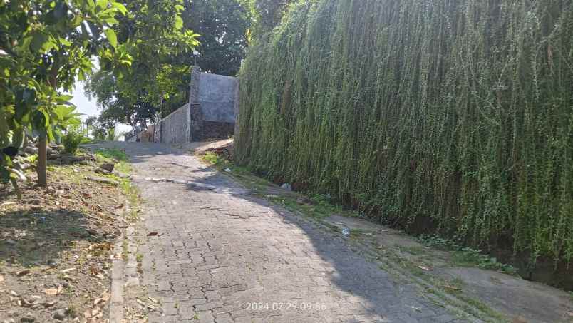 tanah kelud sampangan samping fak kedoteran unnes