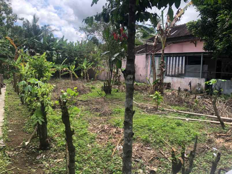 tanah luas murah dekat pusat kota wates