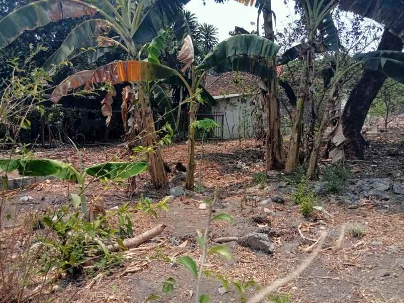 tanah luas pinggir jalan cocok di prawirotaman jogja