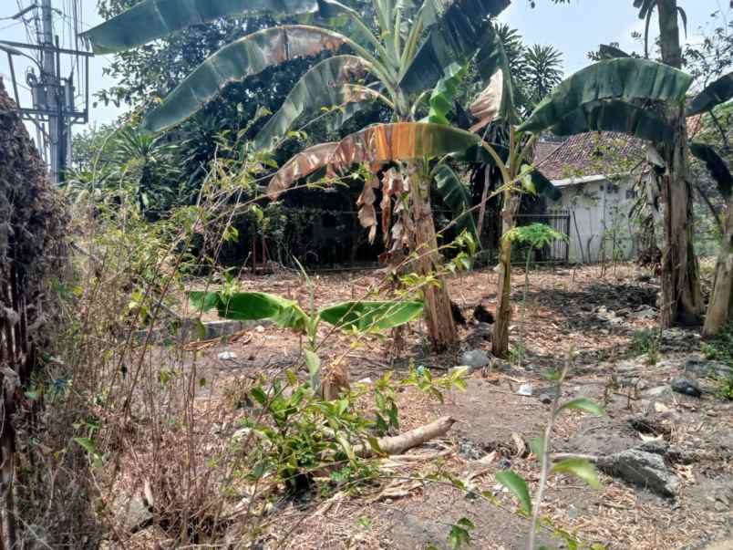 tanah luas pinggir jalan cocok di prawirotaman jogja