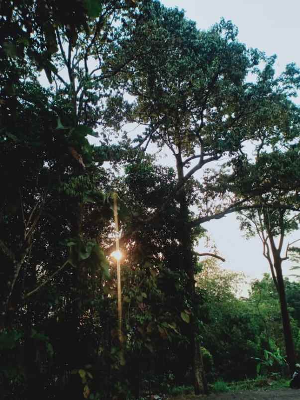 tanah matesih karanganyar