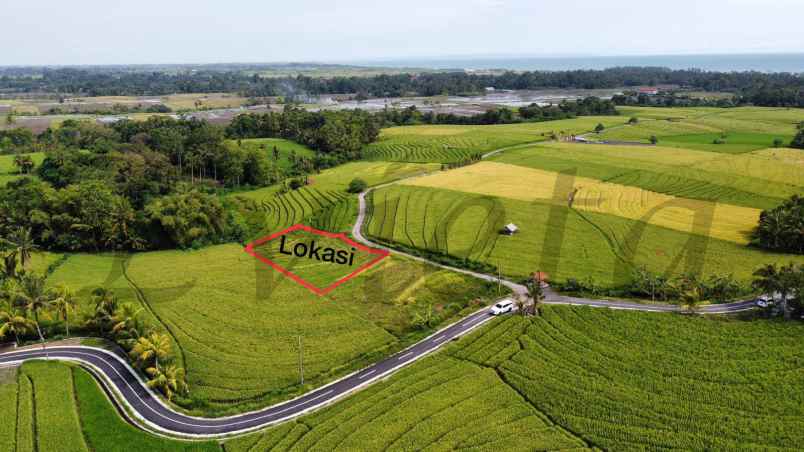 tanah murah dengan pemandangan sawah beraban tabanan