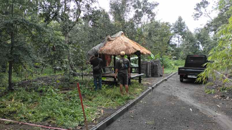 tanah murah kebun buah siap panen