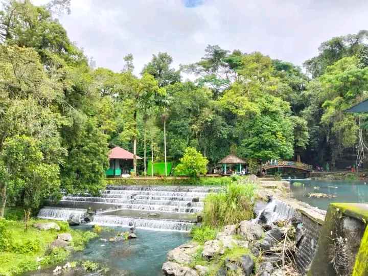 tanah murah kebun buah siap panen