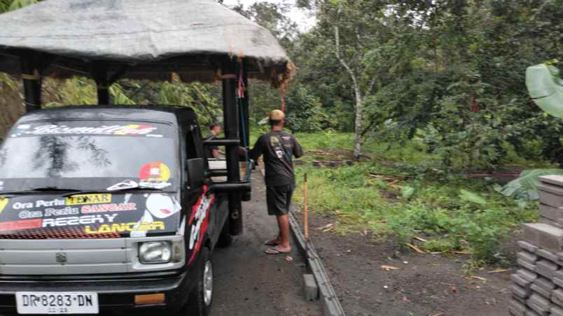 tanah murah kebun buah siap panen