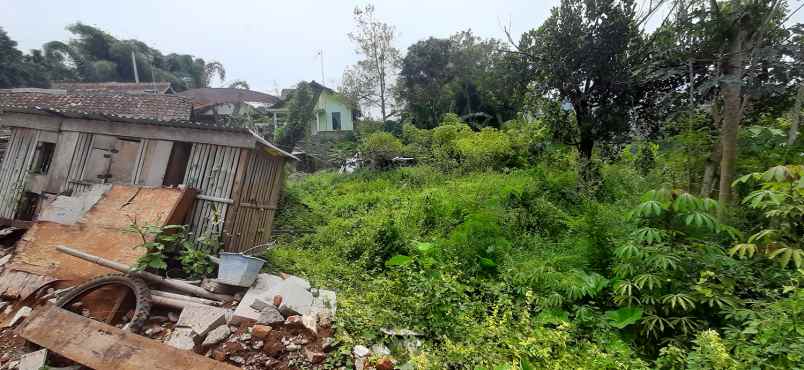 tanah pasir impun atas