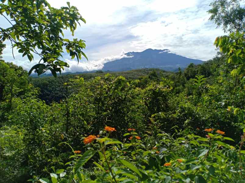 tanah pekarangan 75jt mojogedang karanganyar