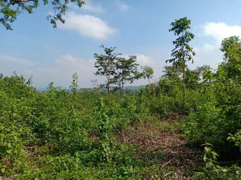 tanah pekarangan 75jt mojogedang karanganyar