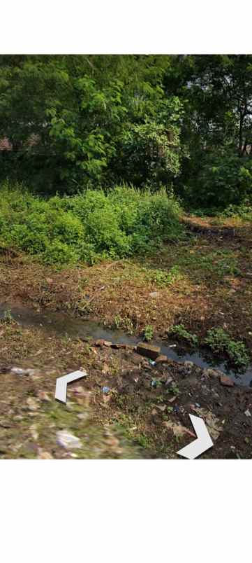 tanah pekarangan rata di pinggiran kota