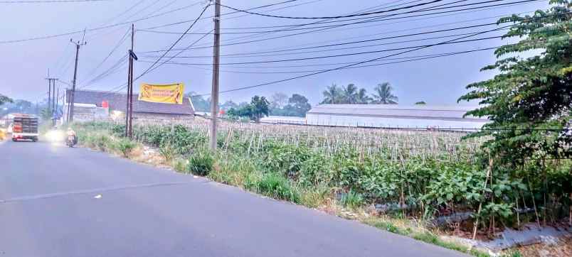 tanah prospek pinggir jalan di bogor tanah shm