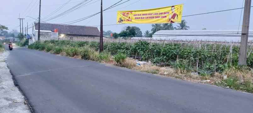 tanah prospek pinggir jalan di bogor tanah shm