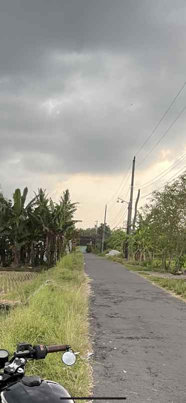 tanah sawah dijual di purwomartani