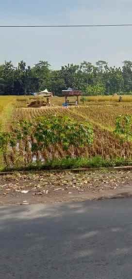 tanah sawah produktiv pinggir jln utama