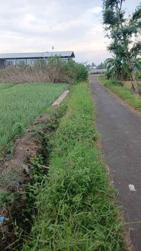 tanah sawah subur harga istim