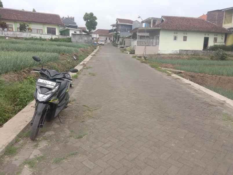 tanah sawah subur harga istimewa di junrejo kota batu