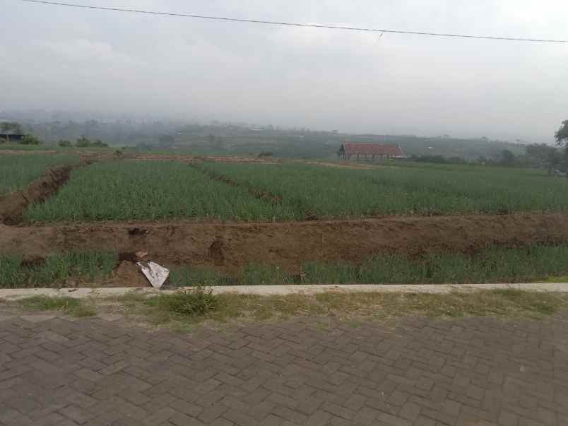 tanah sawah subur harga istimewa di junrejo kota batu