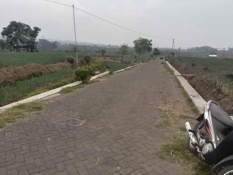 tanah sawah subur harga istimewa di junrejo kota batu