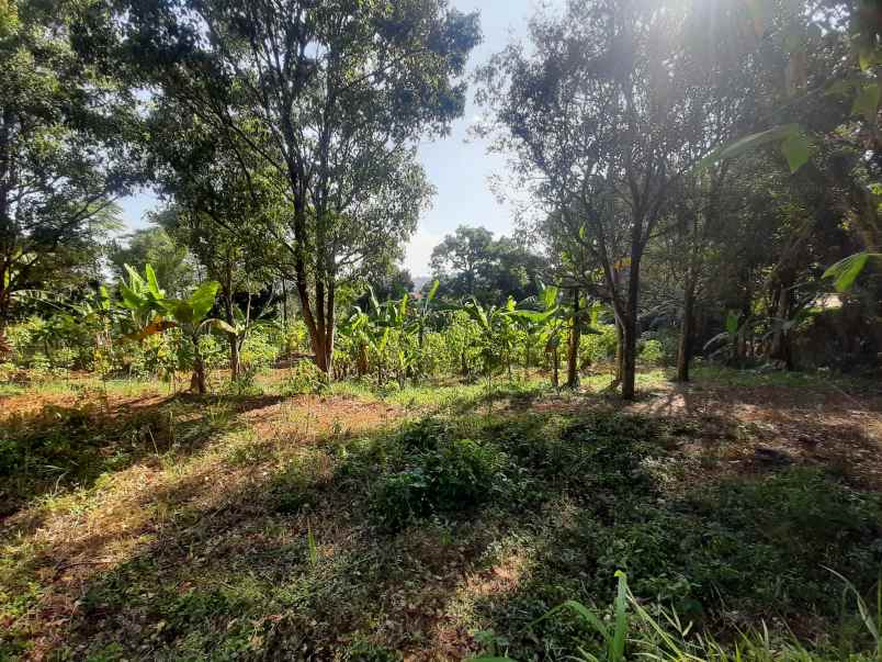 tanah sindanglaya ujung berung bandung timur