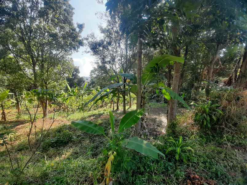 tanah sindanglaya ujung berung bandung timur