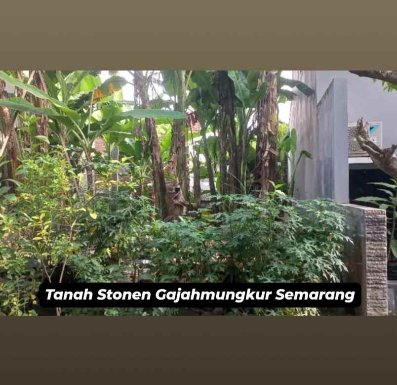 tanah stonen gajahmungkur semarang