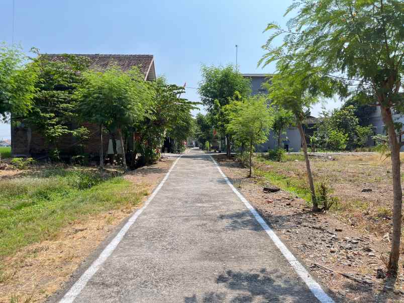 tanah strategis dekat pusat kota sragen hanya 2jt m