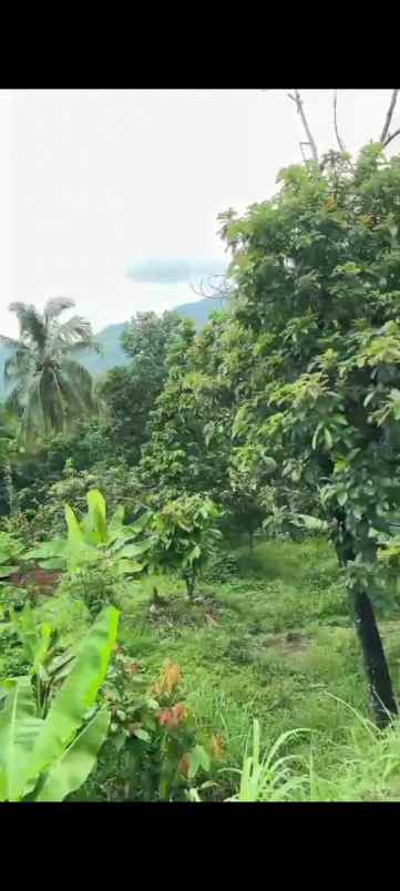 tanah strategis di buleleng bali