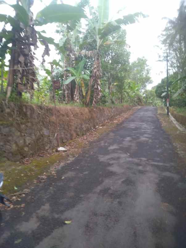 tanah strategis pinggir jl desa view bagus tanah rata