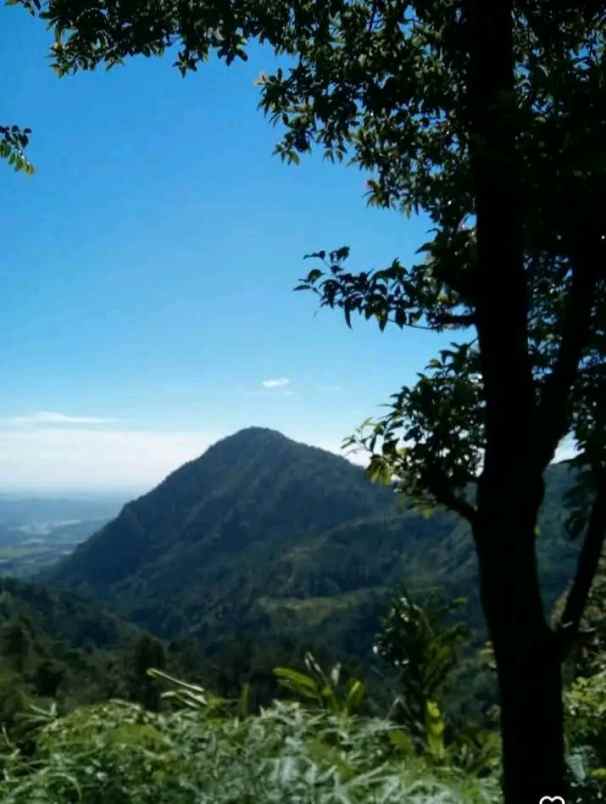 tanah sumber mata air panas di bogor timur