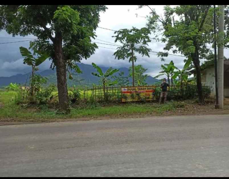 5ha cariu sirnagalih kan bogor