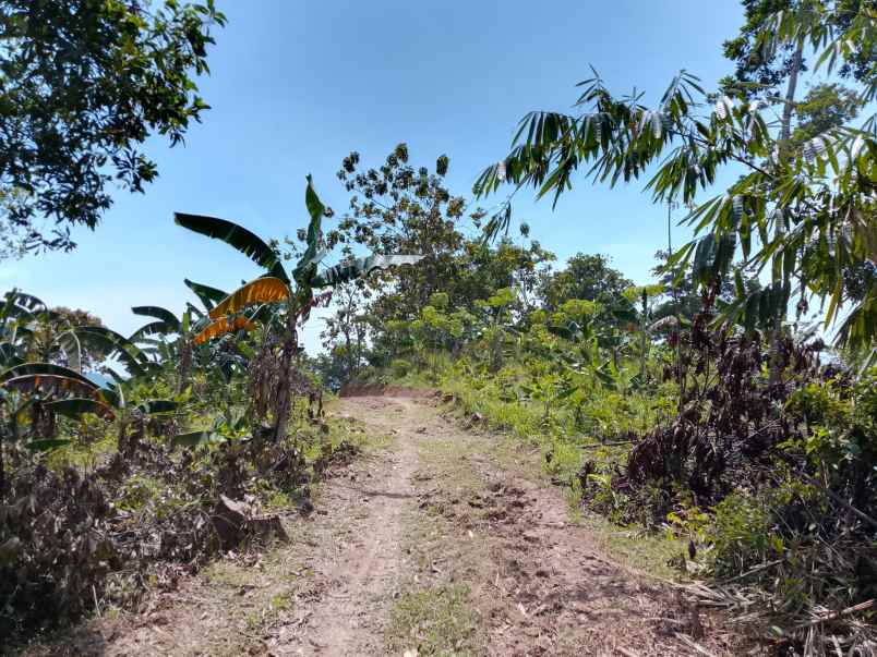 bismillah dijual cepat tanah murah