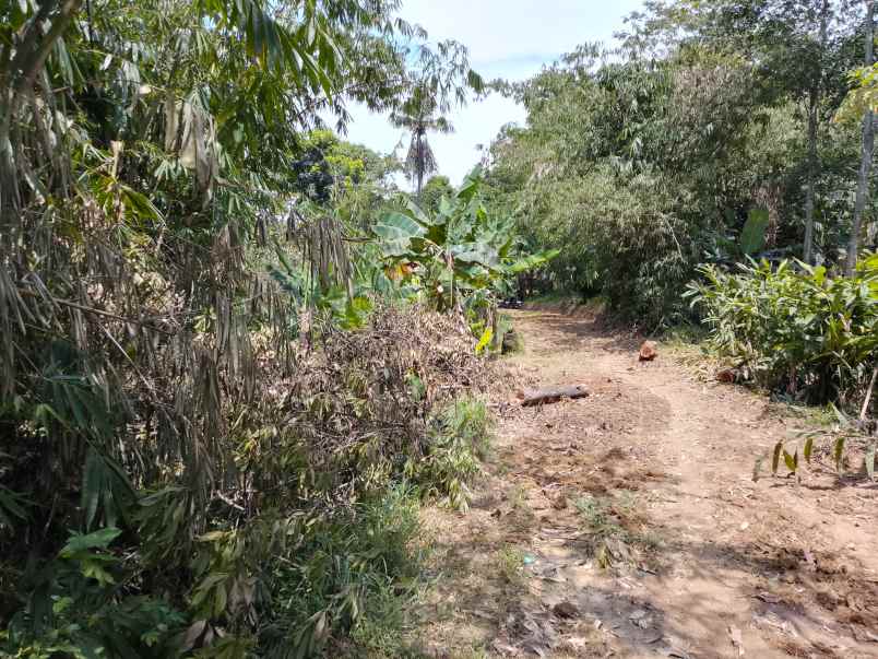 bismillah dijual cepat tanah murah