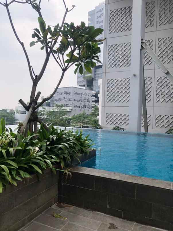 dijual apartemen paddington heights alam sutera