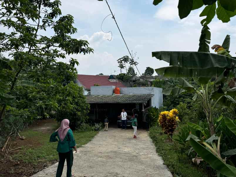 dijual cepat tanah bonus rumah murah di ciampea bogor