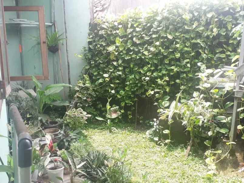 dijual rumah curug